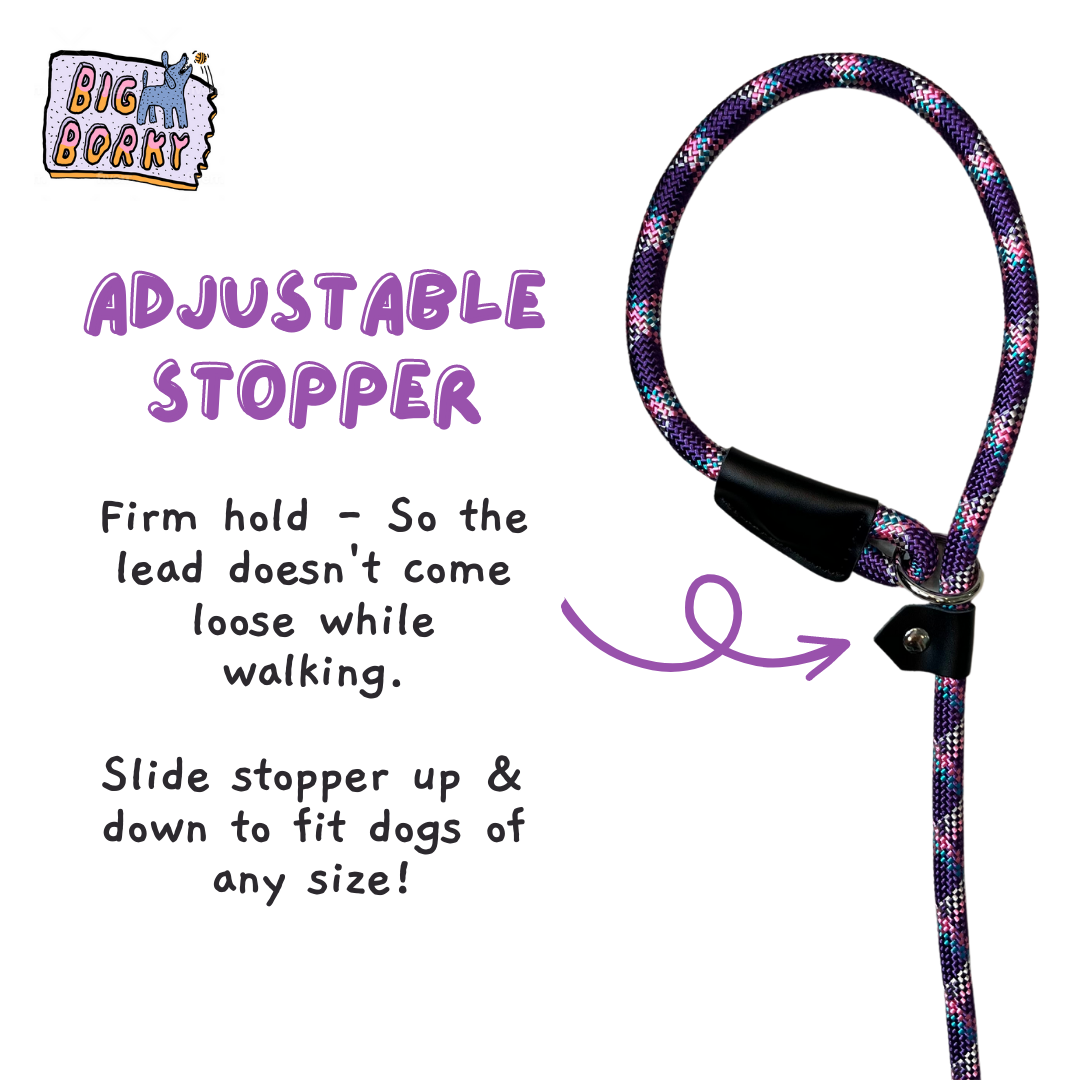 Borky's Slip Lead - Train Dogs to Stop Pulling, No Collar Required