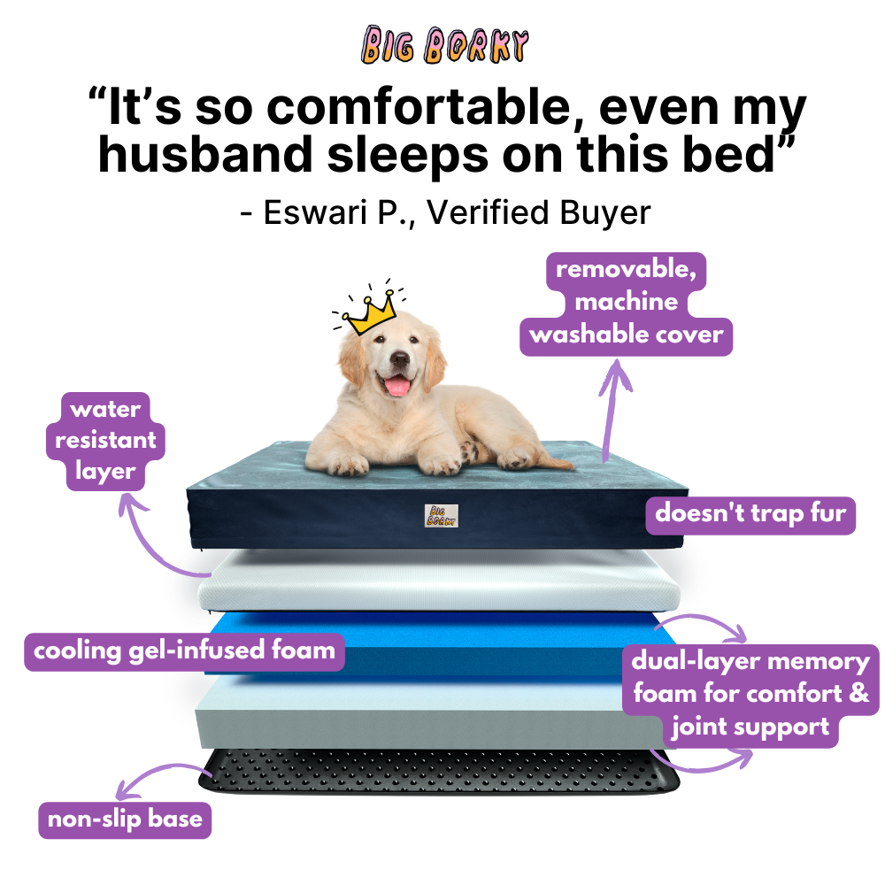 Borky’s Dog Bed - Supports Joints, Easy Clean