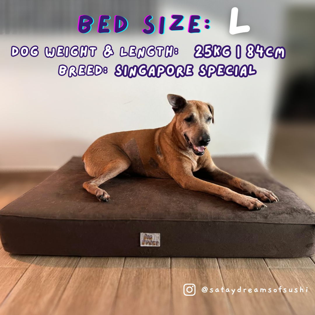 Borky’s Dog Bed - Supports Joints, Easy Clean