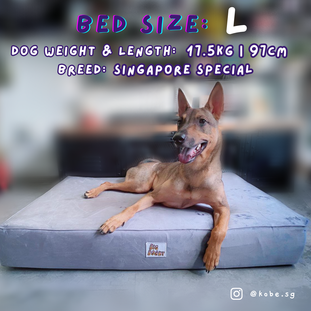 Borky’s Dog Bed - Supports Joints, Easy Clean