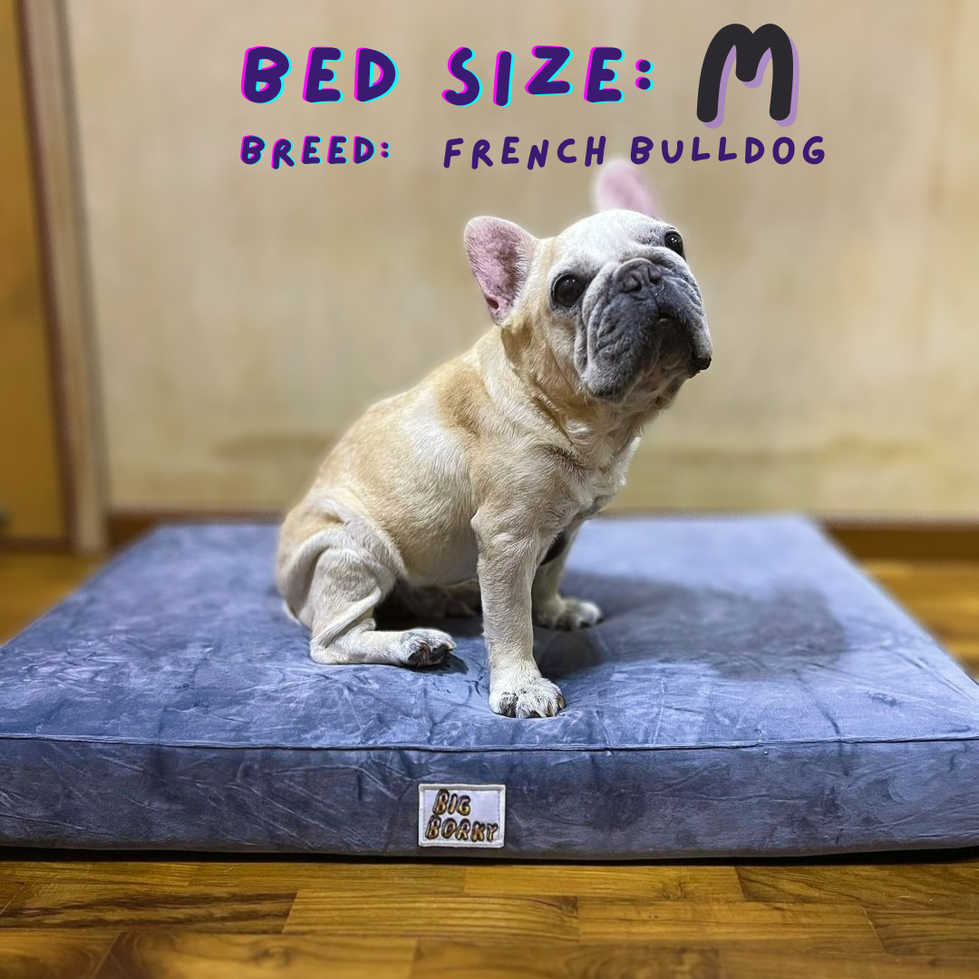 Borky’s Dog Bed - Supports Joints, Easy Clean