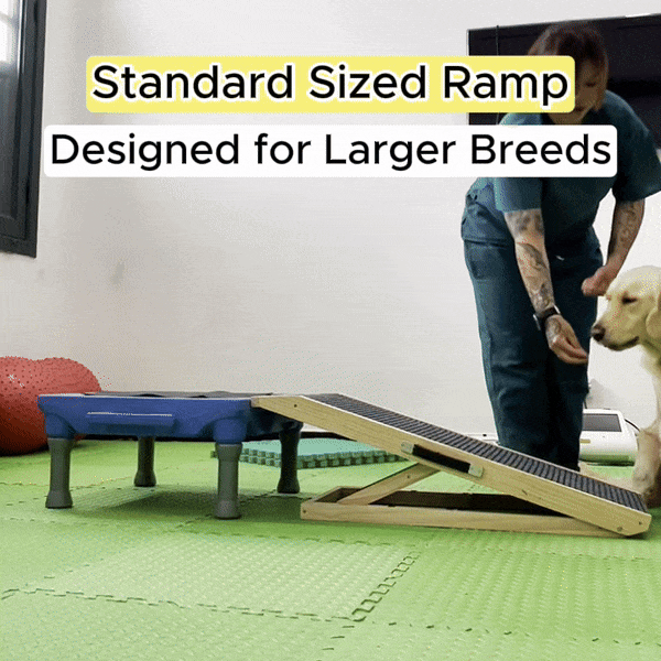 Borky's Dog Ramp - Protects Joints & Prevents Jumping Injuries