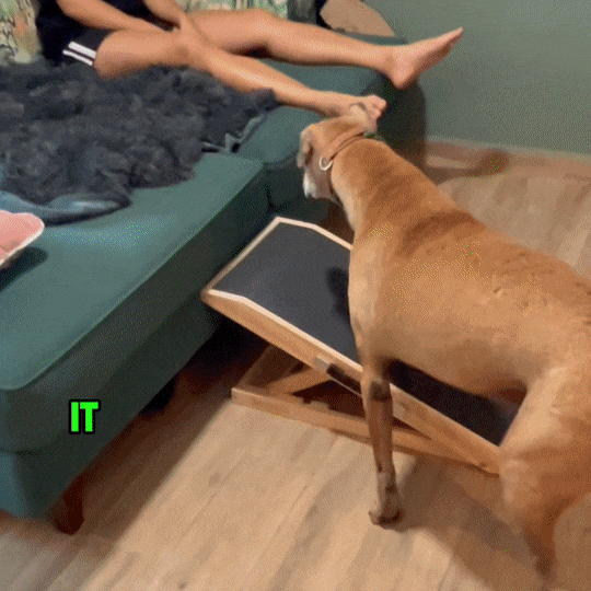 Borky's Dog Ramp - Protects Joints & Prevents Jumping Injuries