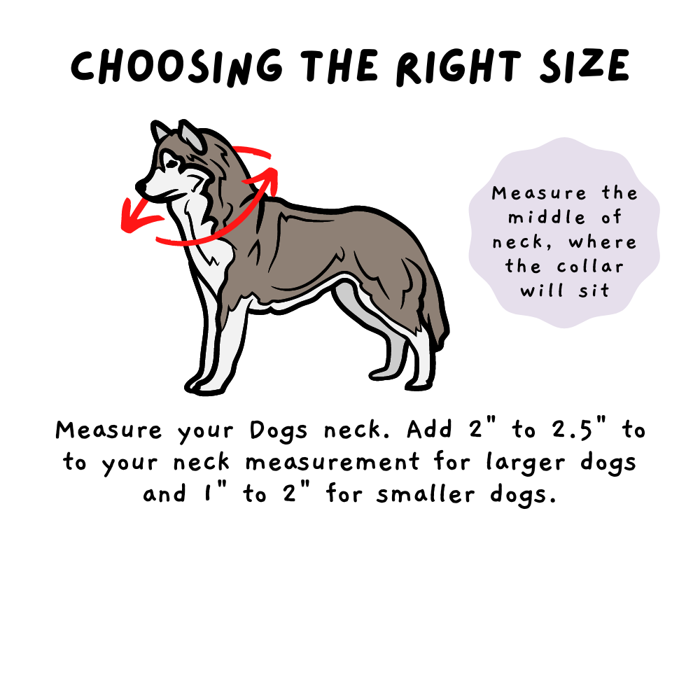 Borky's Slip Collar