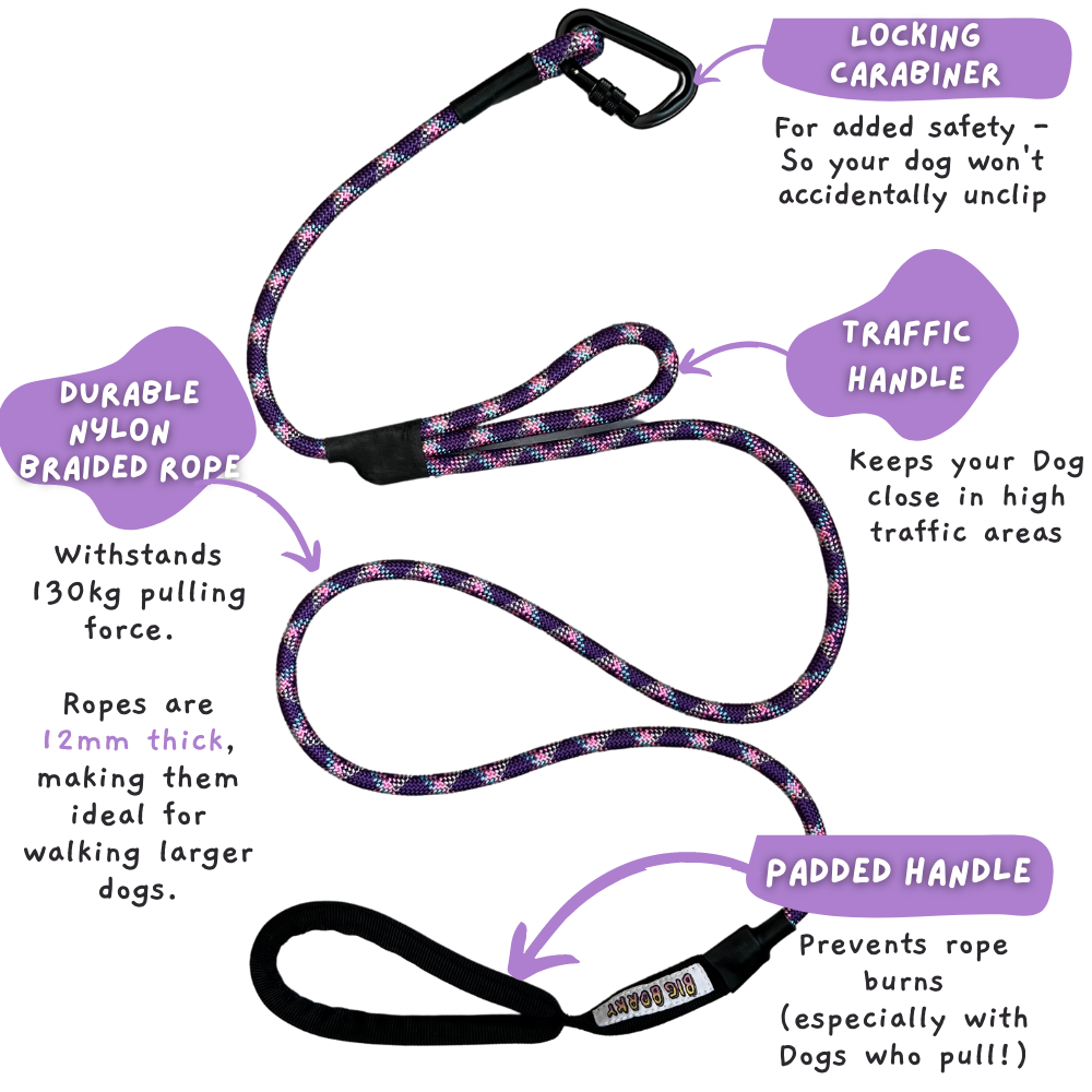 Borky's Dog Leash - Traffic Handle + Carabiner Clip