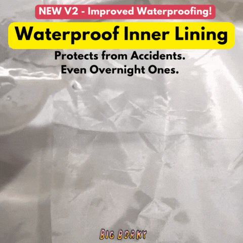 Mattress Protector for Borky
