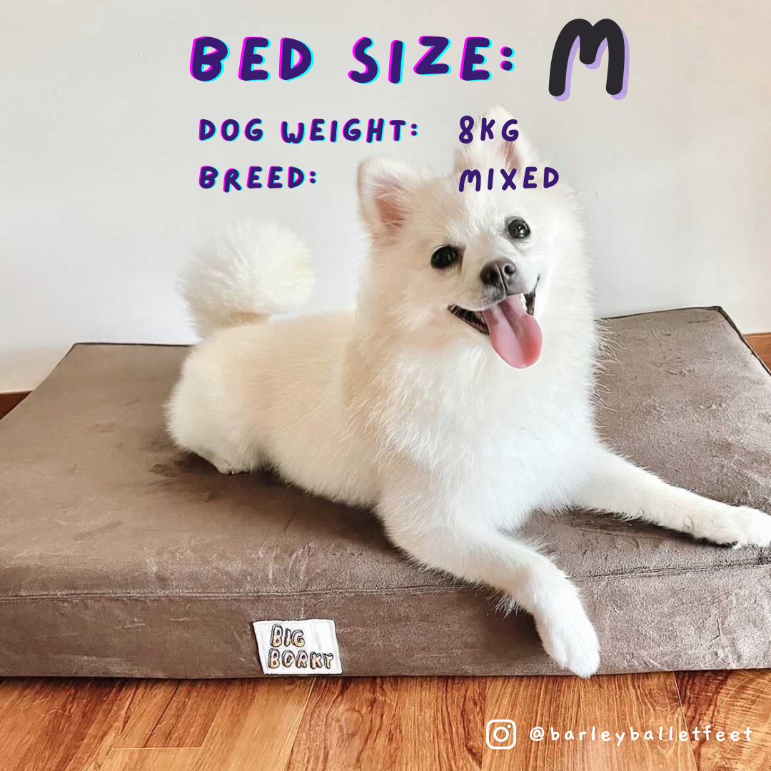 Borky’s Dog Bed - Supports Joints, Easy Clean