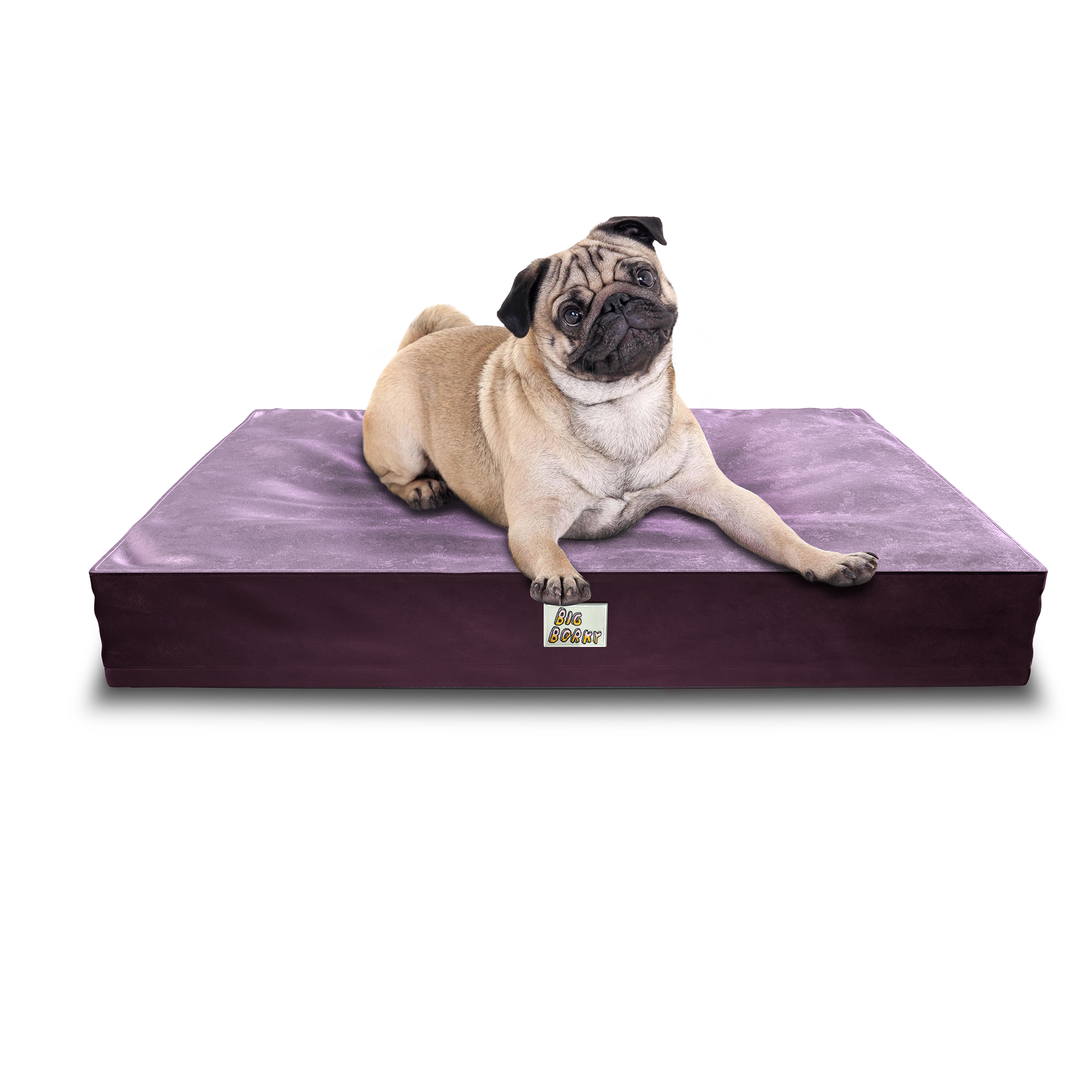 Borky’s Dog Bed Supports Joints, Easy CleanN big borky